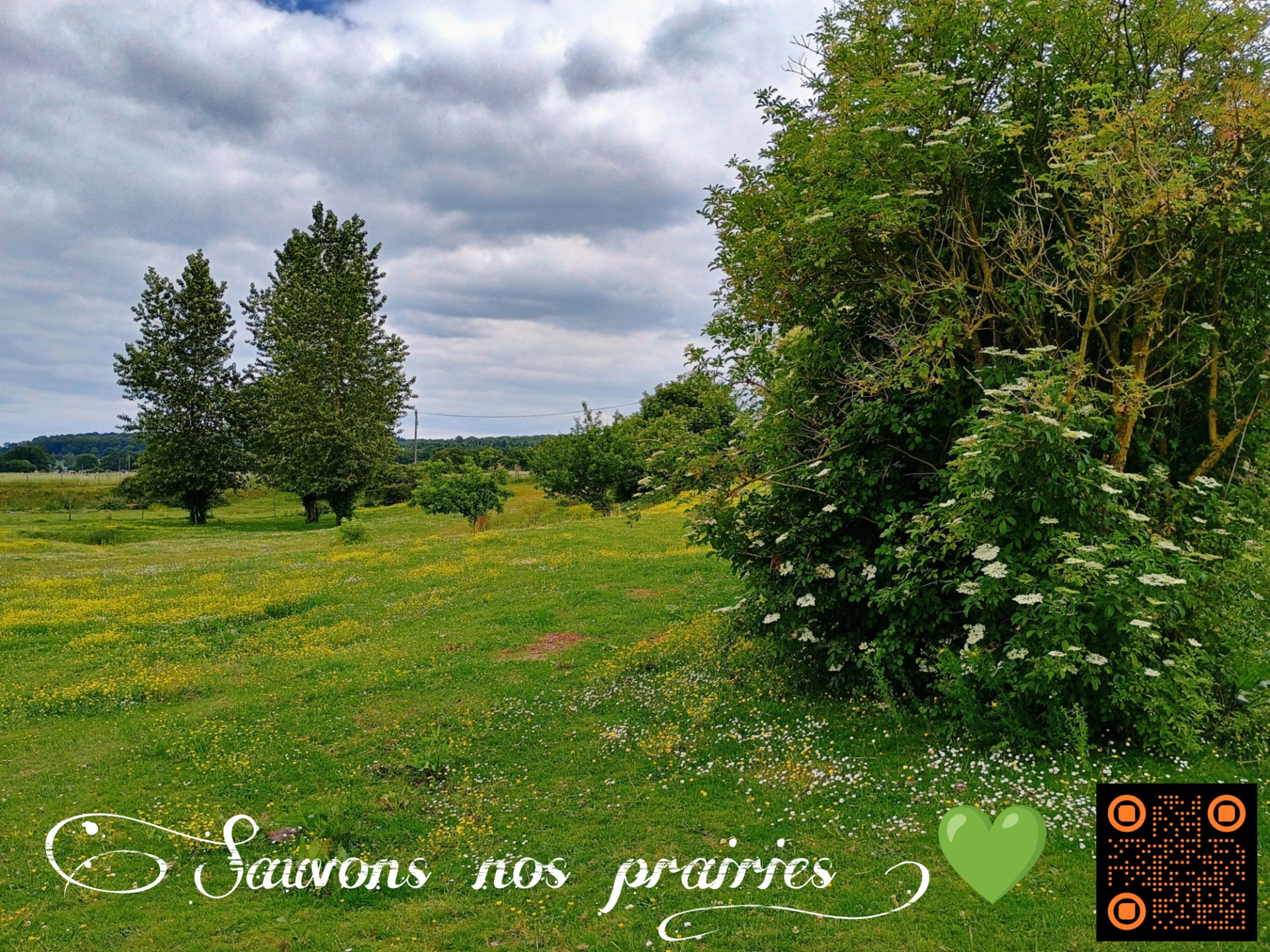 Cliquez sur l'image pour voir l'article.